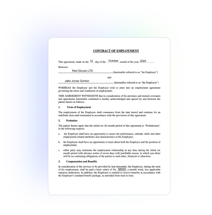 Employment Contract Example